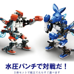 GLbg  {NTChi2̃Zbg/10΂j