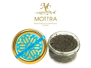 Eōi@ypobLK{apBzyMLrAzyېt@[XgNX̗pzyōztbVLrAɌIX^[bg(STERLET) 56glMOTTRA g