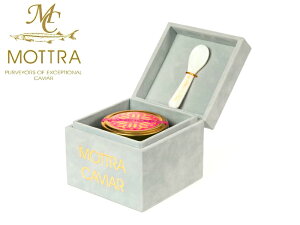 Eōi@ tbVLrA|[hY Iwe[WLrA@IZg 56gOsetraVFXv[GIFT BOX }\ybsOΉ(+500~)z