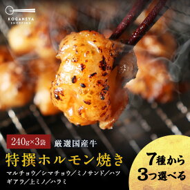 7種から選べる厳選国産牛特撰ホルモン焼き（240g×3袋）720g バーベキュー（BBQ）焼肉 ホルモン 牛ホルモン 焼肉 小腸 丸腸 お取り寄せ ご飯のお供 肉 マルチョウ シマチョウ ミノ ハツ ギアラ 上ミノ ハラミ