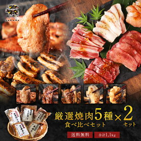 「厳選焼肉5種食べ比べセット×2セットまとめ買い」（各110g×5種×2セット分 合計1.1kg） お肉 肉 送料無料 詰め合わせ 焼肉ギフト 牛タン ミスジ カルビ 豚トロ 大山どり お取り寄せグルメ ビール 食品 高級 食べ物 ビール