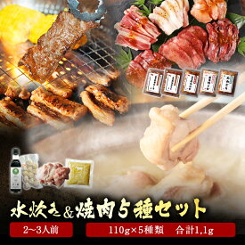水炊き セット 2~3人前 ＆ 焼肉 5種（110g×5種 合計550g）まとめ買い 牛肩ロース 牛ヒレ 牛カルビ 豚トロ 大山どり 送料無料 水炊きセット みずたき 博多 錦爽どり 錦爽鶏 お取り寄せ グルメ 肉 高級 贈り物 お祝い ギフト プレゼント 焼肉セット BBQ お歳暮 お歳暮ギフト