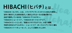 HOA「hibachiバーベキューセット」（合計600g200g×3パック）送料無料