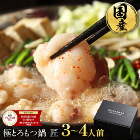 黄金屋 極とろ もつ鍋セット 匠 3~4人前 国産牛モツ 250g 鶏つみれ 300g 合計550g 小腸 送料無料 選べる 4種スープ ホルモン お取り寄せ 冬グルメ 冬ギフト お祝い 内祝 高級 老舗 博多 お歳暮 お歳暮ギフト