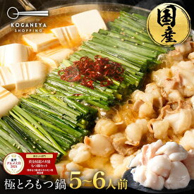 S 楽天グルメ大賞2024 鍋ジャンル受賞 黄金屋 極とろ もつ鍋セット 5~6人前 国産牛モツ 250g×3袋 750g 送料無料 選べる 4種スープ もつ鍋 モツ鍋 ホルモン 冬グルメ お歳暮 お歳暮ギフト