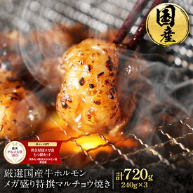 厳選 国産 牛 ホルモン メガ盛り 特撰 マルチョウ 焼き （240g×3 合計720g） 累計387万食突破！ 焼肉 セット お取り寄せ グルメ バーベキュー 牛肉 肉 BBQ 丸腸 もつ焼き お歳暮 お歳暮ギフト 福袋 2026 食品