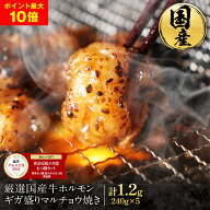 S 【ポイント最大10倍！期間限定5,050円！】 ギガ盛り国産牛特撰マルチョウ(240g×5パック 合計1.2kg/10…