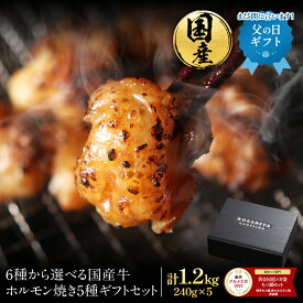 6種から選べる 国産 牛 ホルモン 焼き 5種 ギフト プレゼント セット（各240g×5袋 合計1.2kg） マルチョウ ミノサンド シマチョウ ギアラ 上ハラミ 焼肉 送料無料 ホルモン焼き 父の日 父の日ギフト まだ間に合う 福袋 2026 食品
