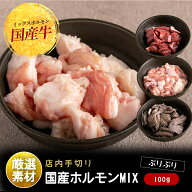 牛ホルモンMIX100g　もつ鍋のトッピングに追加のホルモンはいかがですか？手間ひまをかけた手切りカット…