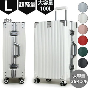 y2Nۏ؁zL[P[X X[cP[X 100L ^ e y LTCY 26C` A~ t[ Y n[hP[X L[obO lp É XL M S L v Cw Ɨs rWlX o