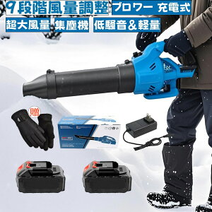 u[ 炭炭Ⴗׁ[  [d uA[ eʃobeʔ }L^ 21V u ݊  nCp[ R[hX K[fu[ 啗  Wo@ @ | o