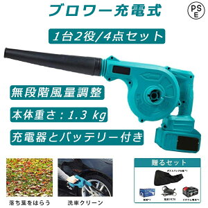 y4_Zbgz u[ [d R[hXu[ 18V݊obe[  ƏWo W@\t iϑ ʒ dHZbg 12000mah Ԑp [dt |@ @ 