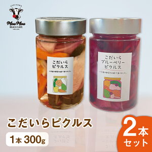 sNX ҂邷 r r p tMtg Mtg 2 2{Zbg 300g sNX | |Ђ Е     t킹 