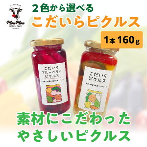 sNX ҂邷 sNX u[x[sNX pickles Mtg  1{ sNX  Е | |Ђ   퉷z ܂ 