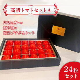 【高級トマトセットA】 プチぷよトマト お歳暮 ギフト プレゼント 贈り物 ミニトマト 青梅 野菜 フルーツ Tokyo Tometo 常温 送料無料