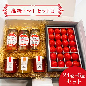 yg}gZbgEz v`Ղg}g W sNX Ε Mtg v[g 蕨 ~jg}g ~  t[c Tokyo Tometo 퉷 