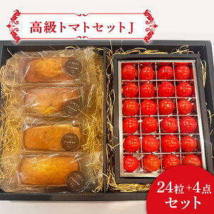 yg}gZbgJz v`Ղg}g pEhP[L Ε Mtg v[g 蕨 ~jg}g ~  t[c Tokyo Tometo 퉷 