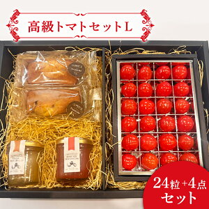 yg}gZbgLz v`Ղg}g pEhP[L W Ε Mtg v[g 蕨 ~jg}g ~  t[c Tokyo Tometo 퉷 