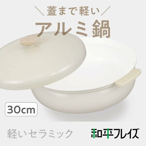 @atCY 6`7lp ^  30cm AC{[ IHEKXΉ  p 傫 yZ~bN RB-3657
