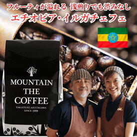 自家焙煎コーヒーマウンテン コーヒー豆 エチオピア イルガチェフェ