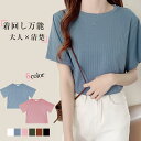 【55%OFF！1点購入クーポンで】Tシャツ レディース 半袖 トップス カットソー 黒 白 ピンク 伸縮性 通学 通勤 40代 リブ生地 シンプル 無地 40代 50代 60代
