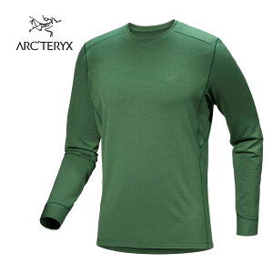 ARC'TERYX(A[NeNX) Rho Merino Wool Crew Neck([mE[N[lbN Y)