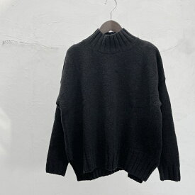 evam eva(エヴァムエヴァ)リニューウール タートルネック ニット プルオーバー　E253K104　renew-wool turtleneck