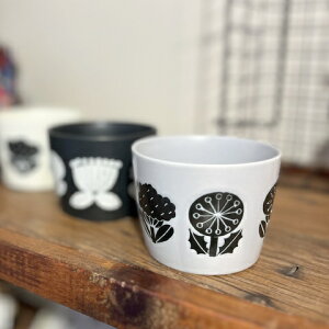 ~L@t[Jbv@Free Cup Flower 11025@@fU[gJbvƂĂgD