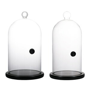 o[e_[ JNeOX o[L[~LVOOX X[N~LVOOX ~LVOEOX o[p@p