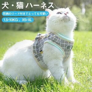 lR n[lX[hZbg~jp[h Lpn[lX ybgp[hZbg L Lp[hZbg N Be  ϑ Ȃ { bV \tg lRxXg hbOEFA R