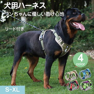  n[lX pn[lX [ht ybgp  ^ ^ ^  nht ȒP  Ȃ _炩 i ybgpn[lX ybg[h U o| 