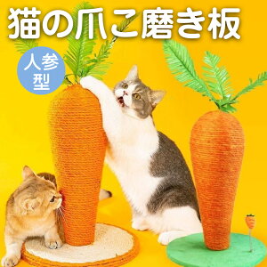 Lbg^[ jW^Cv lQ ɂ񂶂 ܂Ƃ ܂Ƃ|[ L ˂  ybgp   Vn XgXU ^s΍ Lpi 25*25*29cm lGKp