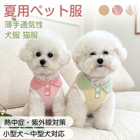 犬服 春 夏 ドッグウェア タンクトップ 可愛い 男の子 女の子 カワイイ ペアルック トイプードル チワワ おしゃれ おもしろ かわいい 大人気 インスタ映え 袖なし お散歩 お出かけウェア