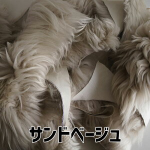 y|Cg5{z_10303ԁ^ ͂ [g V[vXL قƂ 400g  | pb`[N {v r E[ nhCh nM [؂ CN JbgIt ItJbg