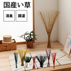 }\N[|zz tOX  L G G CeA IuWF  F { a ȒP  RۖhL L C ɂ 