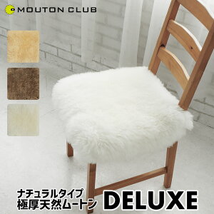 ���[�g�� �`�F�A�p�b�h ���� �N�b�V���� ���{�� DELUXE 40cm×40cm ���[�g���N�b�V���� �I�[�X�g�����A�Y �����m�� �V�[�v�X�L�� ������ �u���E�� �x�[�W�� �z���C�g ������� �h���΍� ���킢�� 