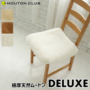 ���[�g�� �`�F�A�p�b�h �Ɍ� �Z�� �N�b�V���� ���{�� DELUXE 40cm ���[�g���N�b�V���� �I�[�X�g�����A�Y �����m�� �V�[�v�X�L�� 35mm �Z�� �u���E�� �z���C�g ������� �h���΍� ���킢�� ���z�c 