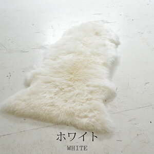 [g J[V[gJo[ tgV[gp 60×120cm  j[W[hY S3F uE x[W zCg J[pi J[ANZT[   t@[ Ot@ J[V[gJ