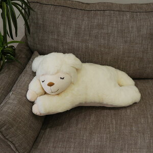 y|Cg5{z_1116ij23:59܂Ł^ 􂦂 [g ʂ Ђ E[ ₵ YQ  킢 VRf r E[ zCg Mtg j