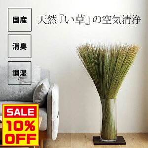 ySi5%OFFN[|z 12/05()   CeA u  L Y {  fBt[U[ [tOX C  u^ u IuWF u {^jJ