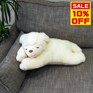 ySi5%OFFN[|z 12/05()  􂦂 [g ʂ Ђ E[ ₵ YQ  킢 VRf r E[ zCg Mtg j