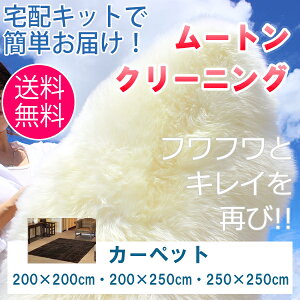 [gN[jO [gJ[ybg 200×200cm/200×250cm/250×250cm sX̓[gHꂪ̂ŏCECNk܂!!t  N[jOLbgŊȒP z