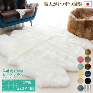 10C 220×180cm [gO 􂦂  AUSKIN t@[Xg[x | [g O [gt[X J[ybg O}bg CeA I[V[Y k   rO 