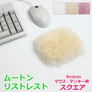 s[OKt[g XgXgi}EXAeL[pj XNGA 8×6 | lp  T|[g pbh }EXpbh Ȃ 蕨 v[g Mtg VR VRf ItBX p\R 