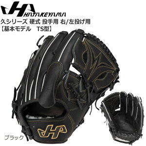 싅 HATAKEYAMA n^P} ʍdpOu p vV[Y Q-TS