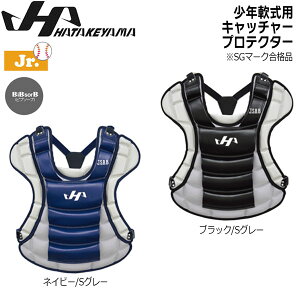 싅 n^P} HATAKEYAMA N p Lb`[veN^[ ߎ h JSBBF qǂp