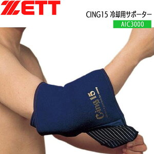 싅 ZETT [bg ppT|[^[ I G p CING15 AIC3000