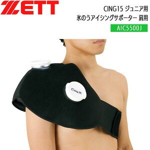 싅 ZETT [bg WjAp X̂ACVOT|[^[ p C-ING15 AIC5500J