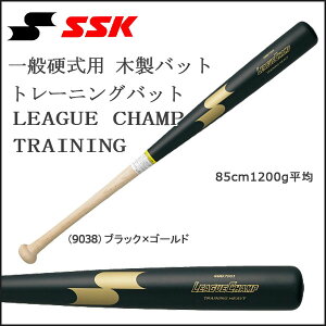 싅 SSK GXGXPC ʍdp ؐ obg g[jOobg Ō [O`v 85cm1200g
