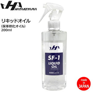 HATAKEYAMA n^P} LbhIC OuA~bgp ۊvE